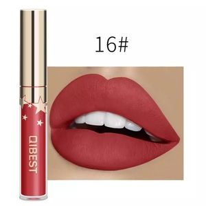 Matte Waterproof Lip Color